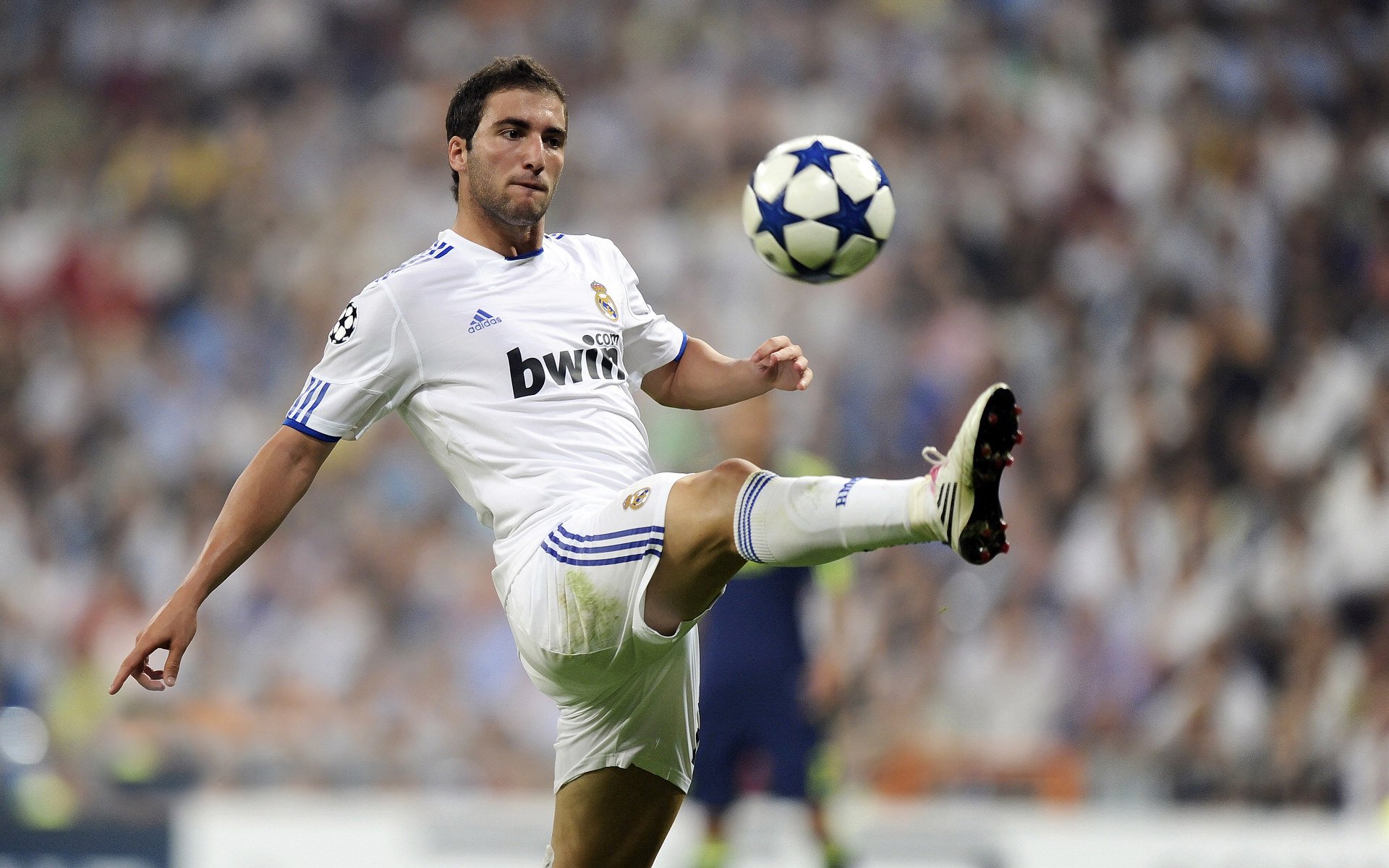 上海海港年轻球员崭露头角，上海海港足球俱乐部球员