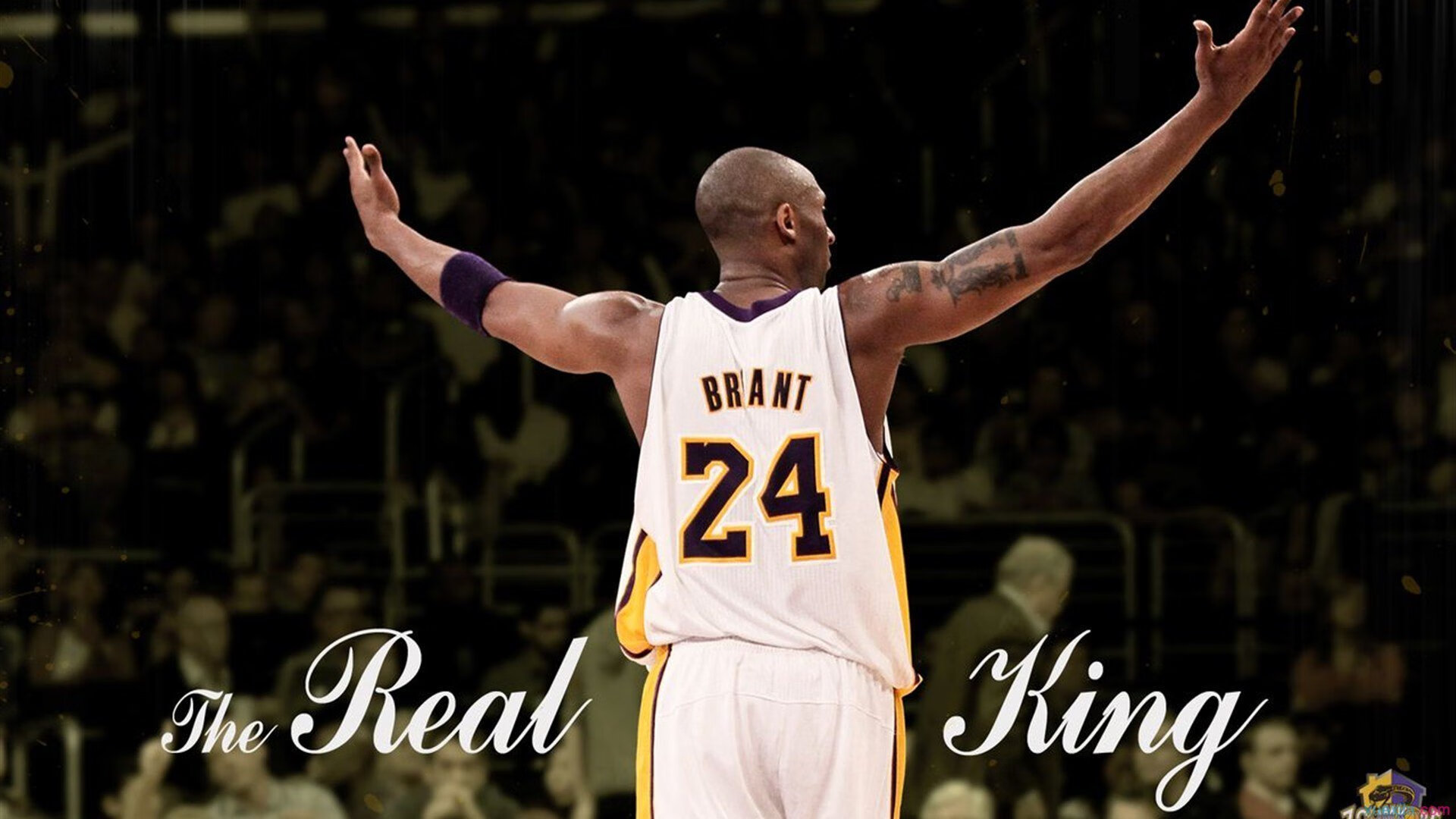 东京红钻攻势凶猛，稳操胜券杀入四强，东京钻石